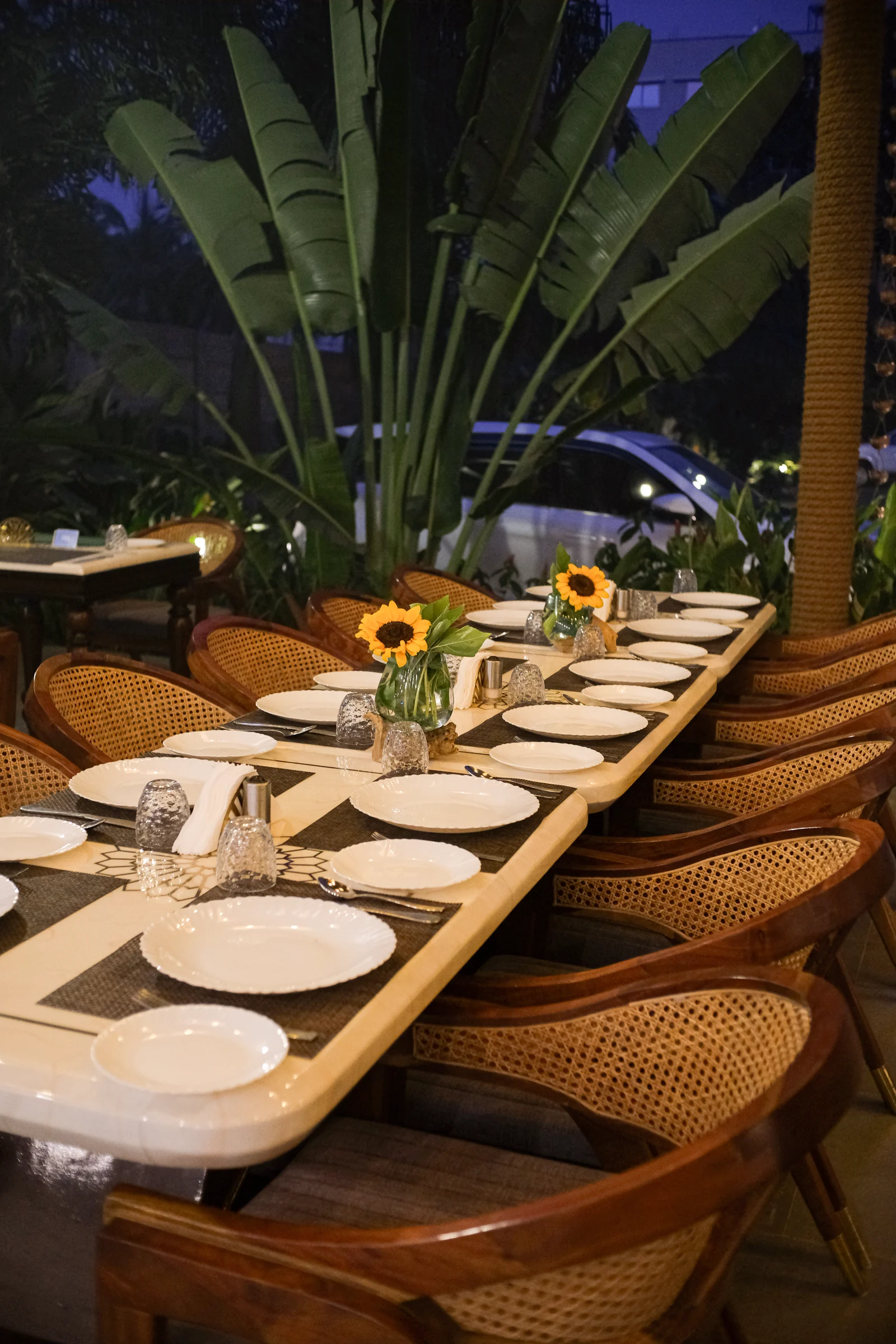 A restaurant table with sunflower centrepieces beside tropical planting at night
